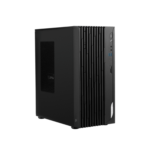 PC de bureau MSI Pro DP180 13 + Écran MSI Pro MP2412 23.8
